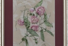 Душистый Горошек