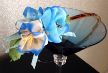 Decorated band for hair