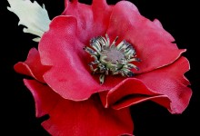 Brooch " Poppy "