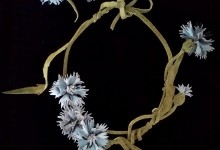 Necklace and bracelet "Cornflower tenderness"