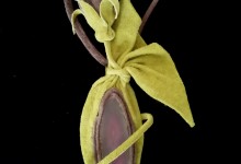 Women's pendant "The freshness of spring"