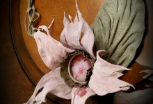 Necklace "Thunderstorm flower"